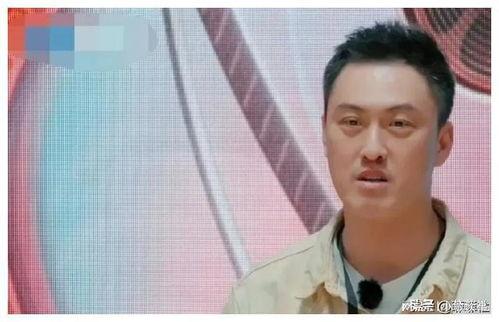 娱乐圈吃瓜最多的人,揭秘吃瓜最多的人生轨迹